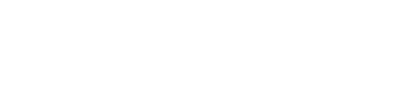 Essex Violence & Vulnerability Unit